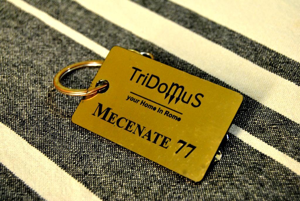 Tridomus Apartment - Mecenate 77 Roma Eksteriør bilde
